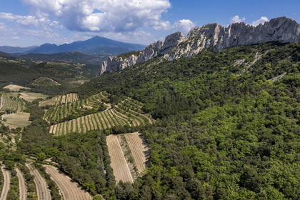 France, Vaucluse (84), Dentelles de Montmirail, Gigondas, la montagne des Dentelles Sarrasines et les vignobles en restanques au col du Cayron, le Mont Ventoux en arrière plan (vue aérienne)