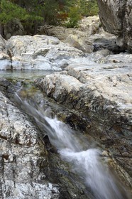 France, Haute-Corse (2B), Vivario, GR 20, étape entre le refuge de l'Onda et Vizzavona, foret de Vizzavona, les cascades des anglais, groupe de cascades dans la vallée de l'Agnone
