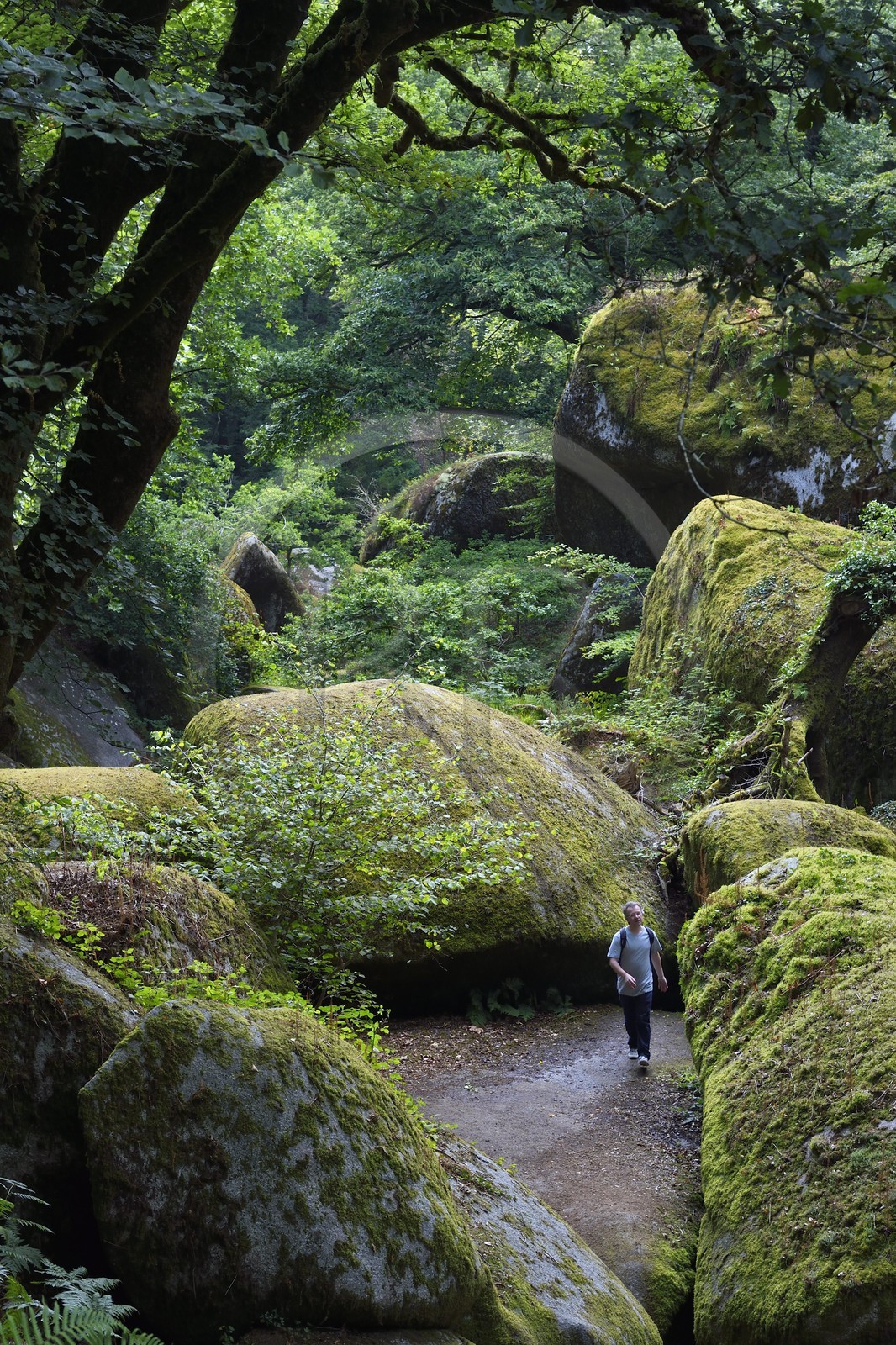 France, Finistère (29), parc naturel régional d'Armorique, Huelgoat, chaos granitique de la forêt du Huelgoat