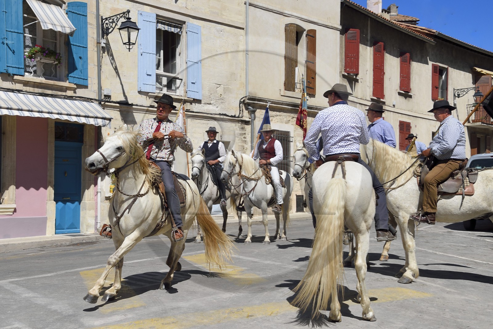 France, Bouches du Rhone, Arles, the course camarguaise of the Cocarde d'Or at the Arenas, gardians riding horses