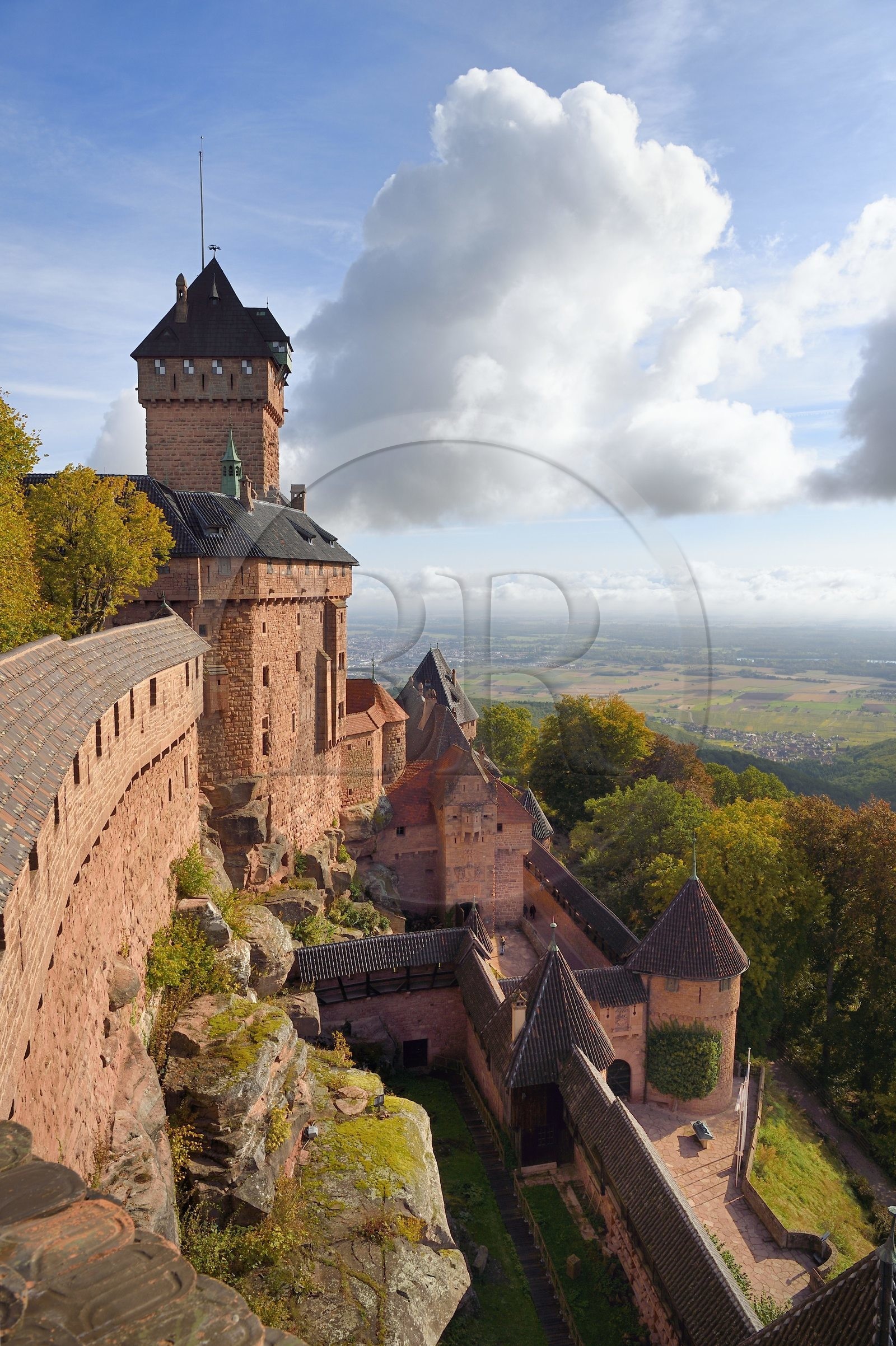 France, Bas Rhin, Orschwiller, Alsace Wine Road, Haut Koenigsbourg Castle and the plain of Alsace in the background