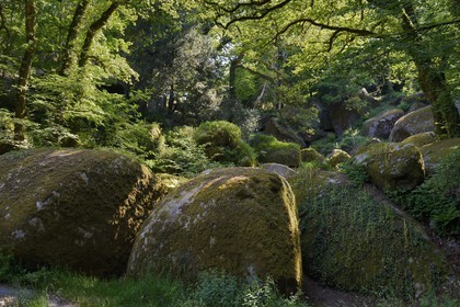 France, Finistère (29), parc naturel régional d'Armorique, Huelgoat, chaos granitique de la forêt du Huelgoat