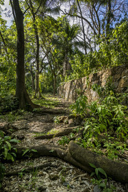 France, Guyane, Kourou, Iles du Salut, l'Ile Saint-Joseph,