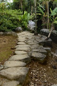 Brésil, Etat de Rio de Janeiro, Paraty, ancienne route de l'or (Estrada Real)