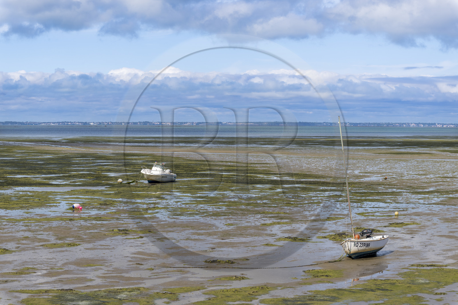 France, Vendee, Noirmoutier island, Barbatre, the sea at low tide in front of the dyke between the Port de Bonhomme and the Passage du Gois