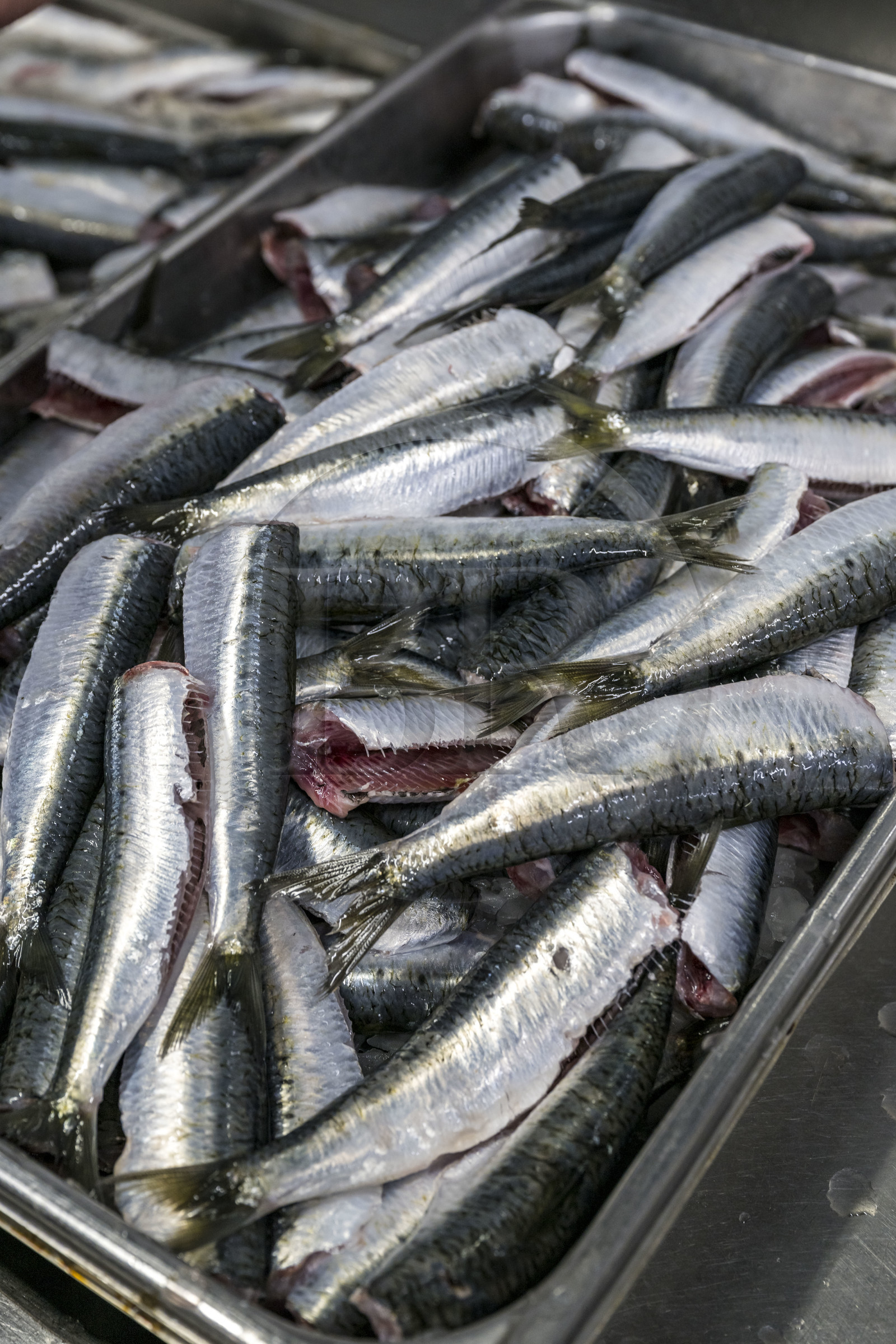 France, Charente-Maritime (17), La Rochelle, les sardines ont fait la réputation du chef étoilé Christopher Coutanceau
