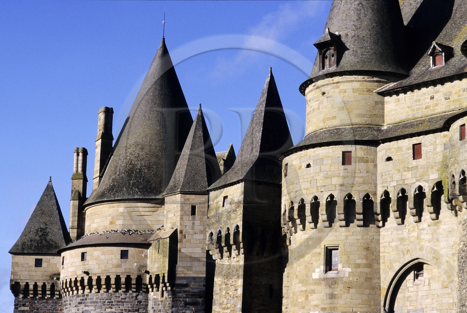 France, Ille-et-Vilaine (35), château de Vitré