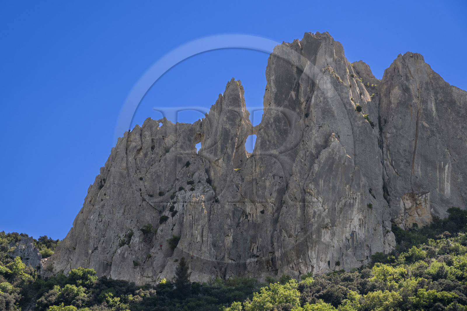France, Vaucluse (84), Dentelles de Montmirail, Gigondas, versant nord des Dentelles Sarrasines et rocher du Turc