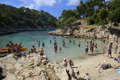 France, Bouches du Rhone, Cassis, Port Pin creek (calanque)