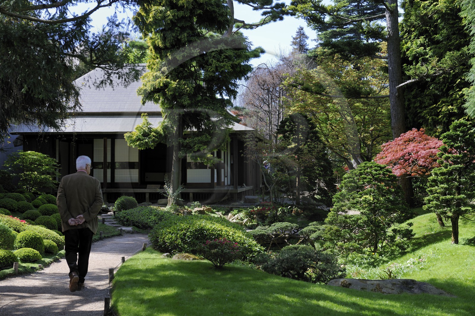 France, Hauts-de-Seine (92), Boulogne-Billancourt, le jardin japonais du musée départemental Albert-Kahn