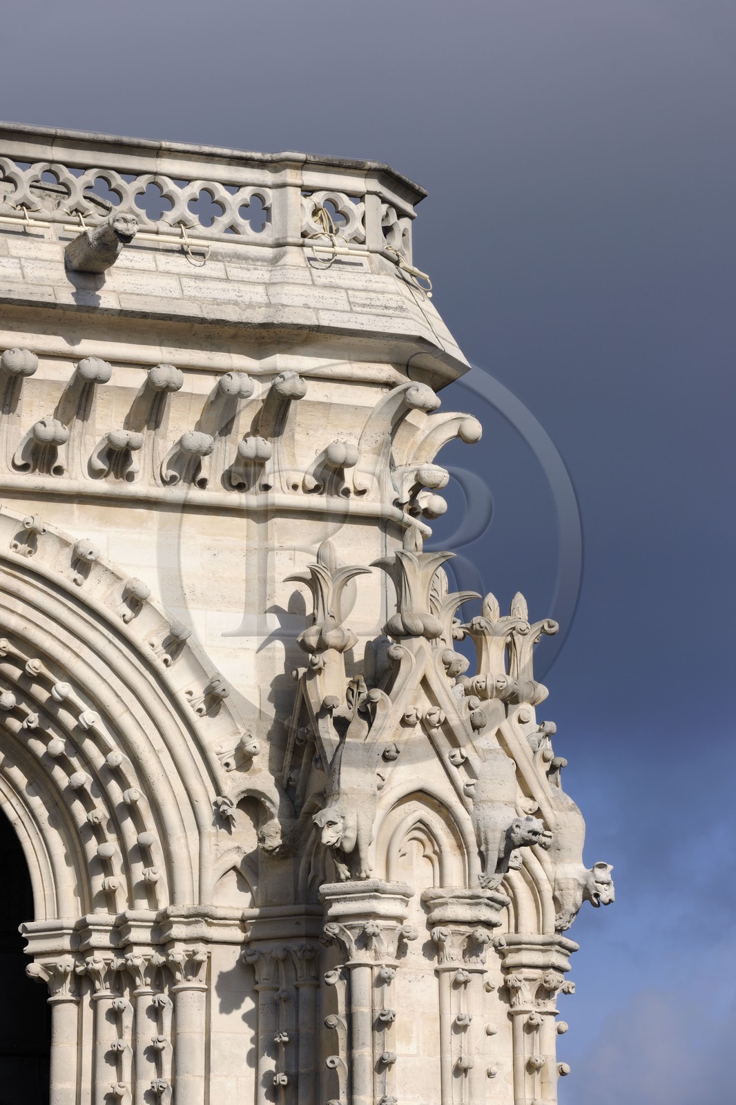France, Paris (75), île de la Cité, la cathédrale Notre-Dame, les gargouilles et les chimères observent la ville