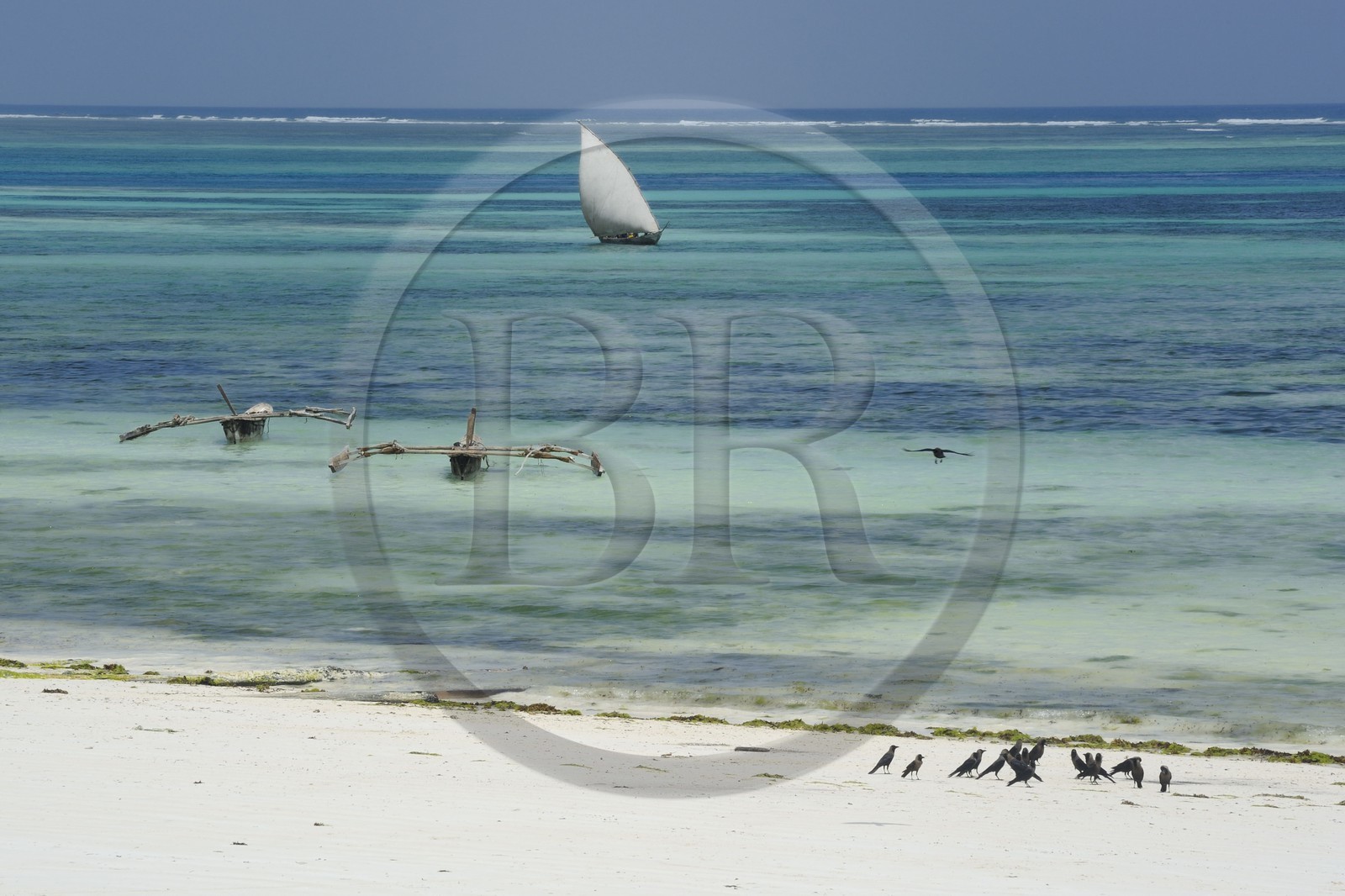 Tanzania, Zanzibar Archipelago, Unguja island (Zanzibar), southeast coast, Bwejuu, fishermen on a dhow (traditional Arab sailing vessel)