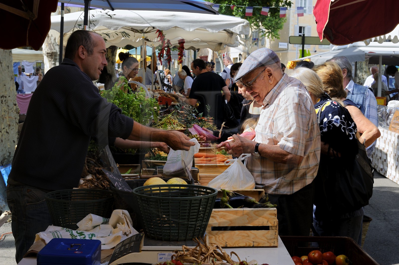 France, Var (83), Provence Verte, Saint-Maximin-la-Sainte-Baume, le marché