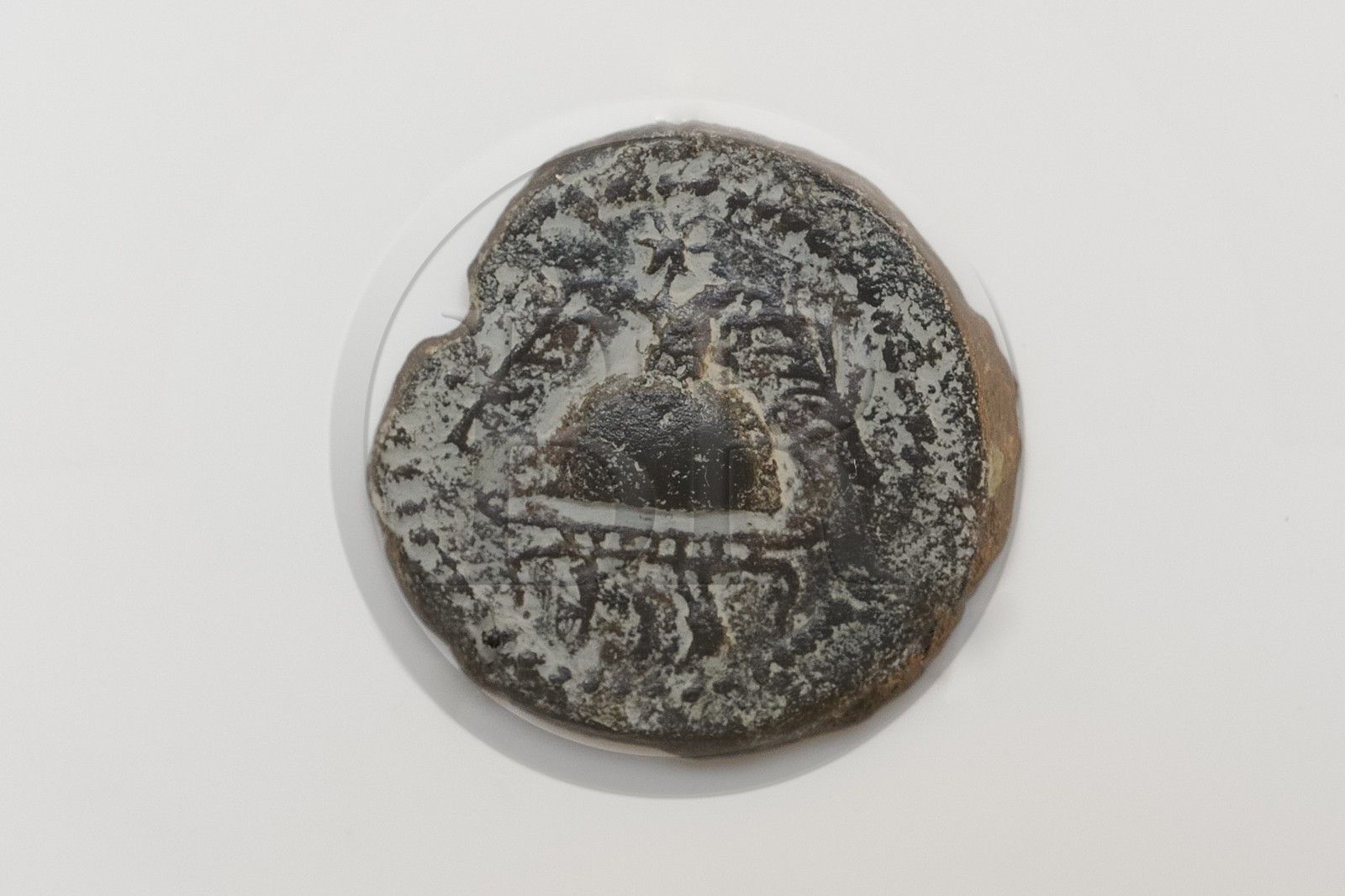 Israel, Jérusalem, Centre Davidson, monnaie de bronze du roi Hérode 1er le Grand datée de 37 avant notre ère représentant un casque flanqué de deux branches de palmier