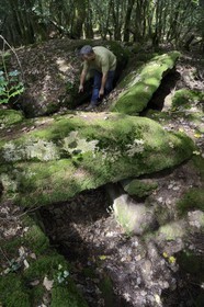 France, Morbihan (56), Trédion, forêt de Coëby, dolmen à couloir avec son cairn encore en place, site mégalithique découvert par l'archéologue Philippe Gouezin encore dans son état brut