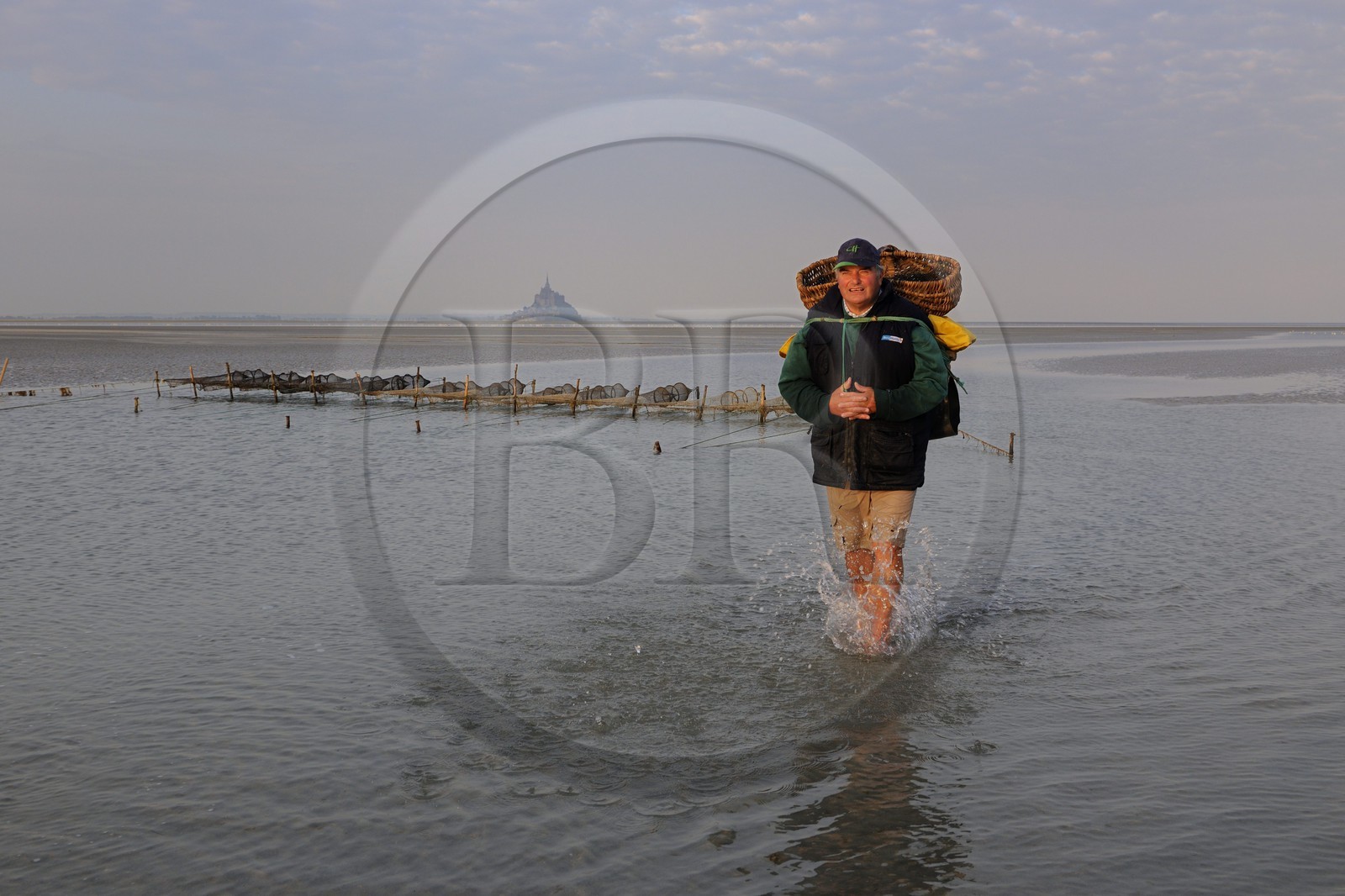 France, Manche (50), Baie du Mont-Saint-Michel, le pêcheur de grève Guy Jugan relevant ses filets de crevettes grises à l'aube