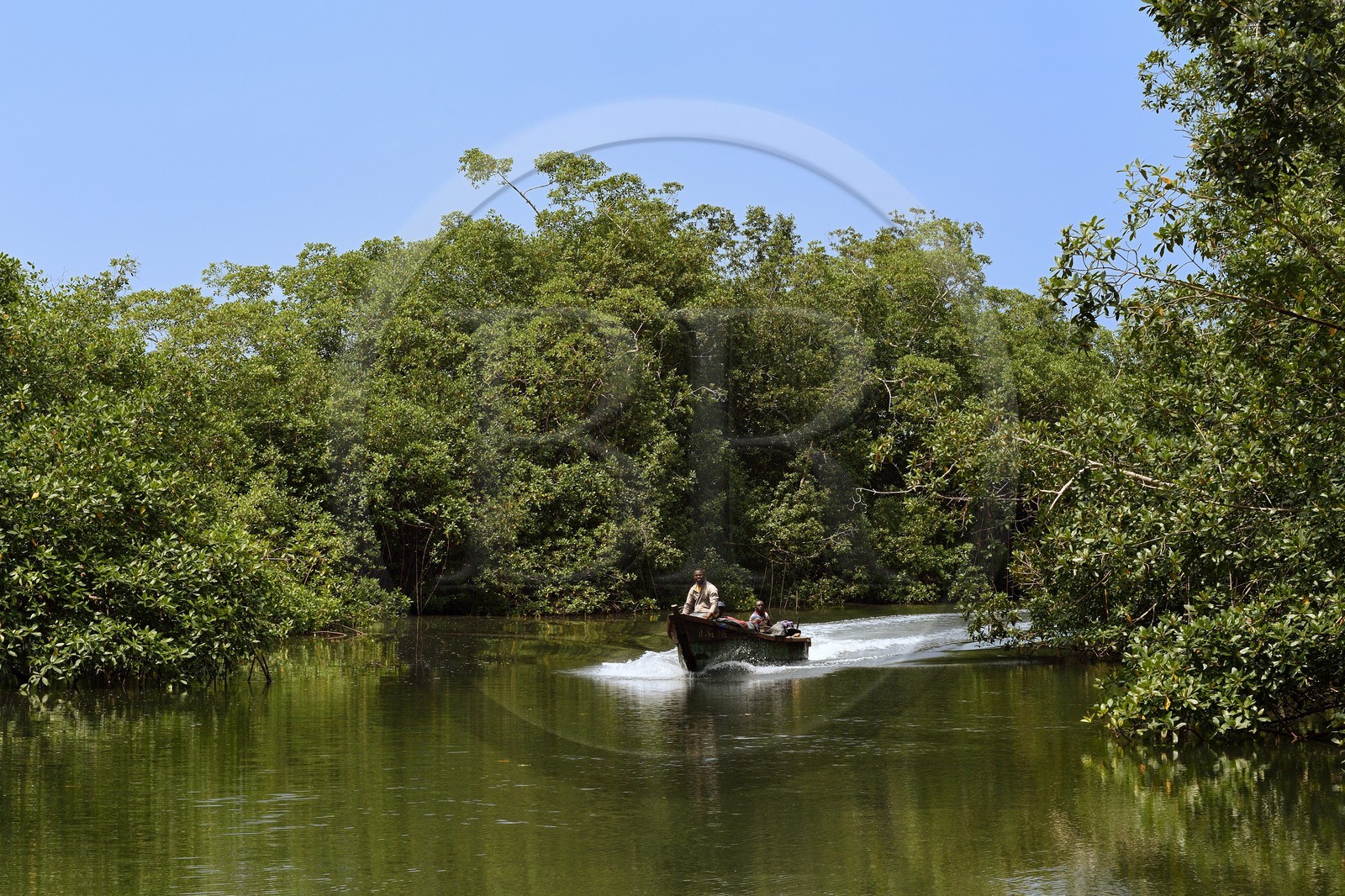 Gabon, province de l'Estuaire, Parc National Akanda, pêcheurs en pirogue dans la mangrove