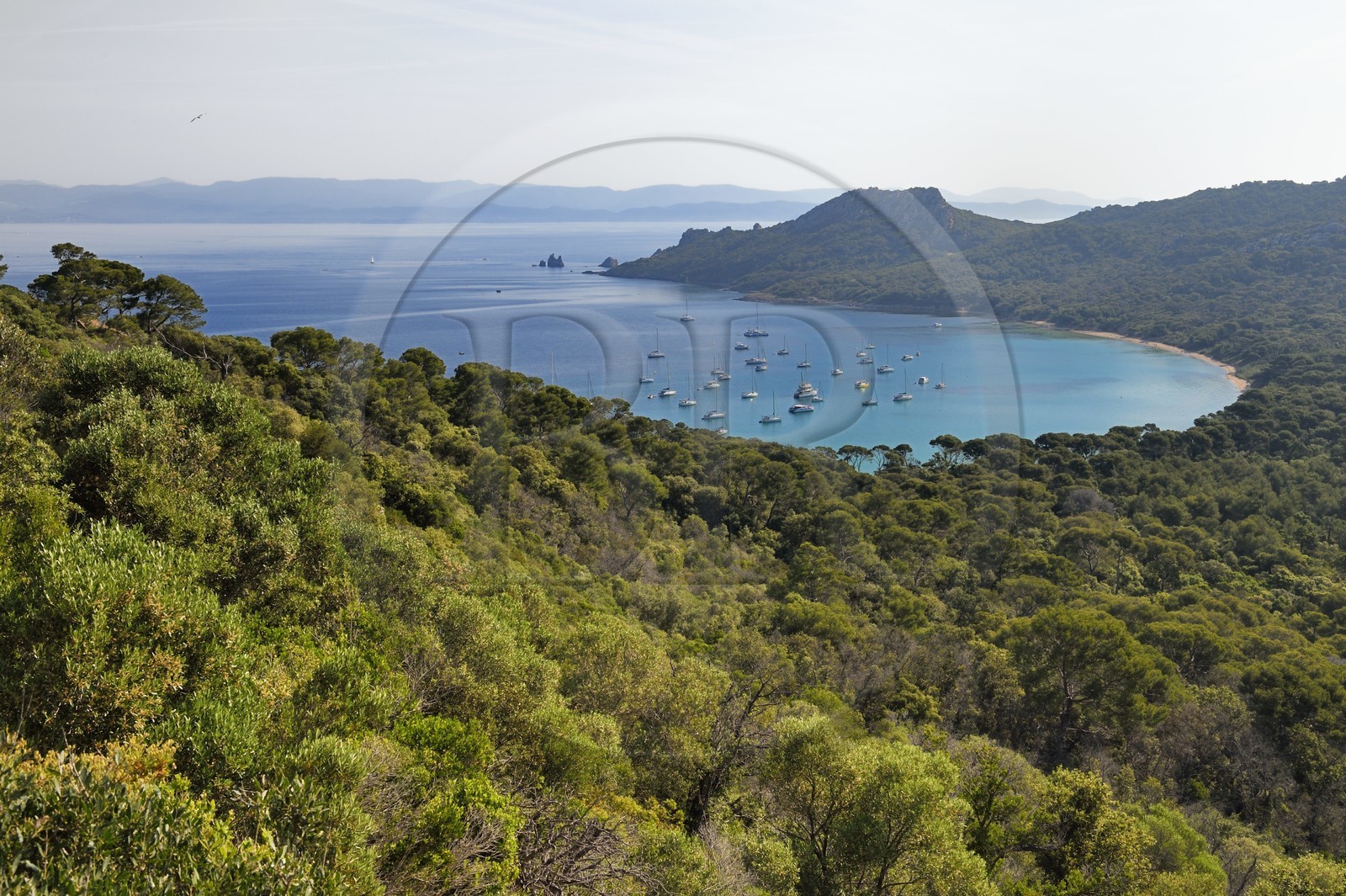 France, Var (83), Iles d'Hyères, parc national de Port Cros, Ile de Porquerolles, la Baie de l'Alycastre et le Cap des Mèdes en arrière-plan