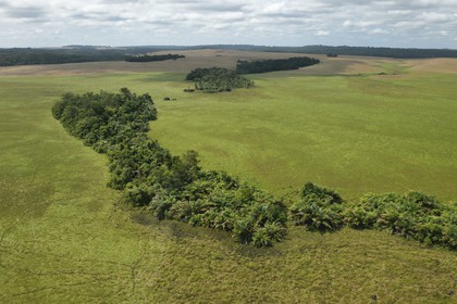 Gabon, Province de Ogooué-Maritime, Parc National Wonga Wongue, plaine (vue aérienne)