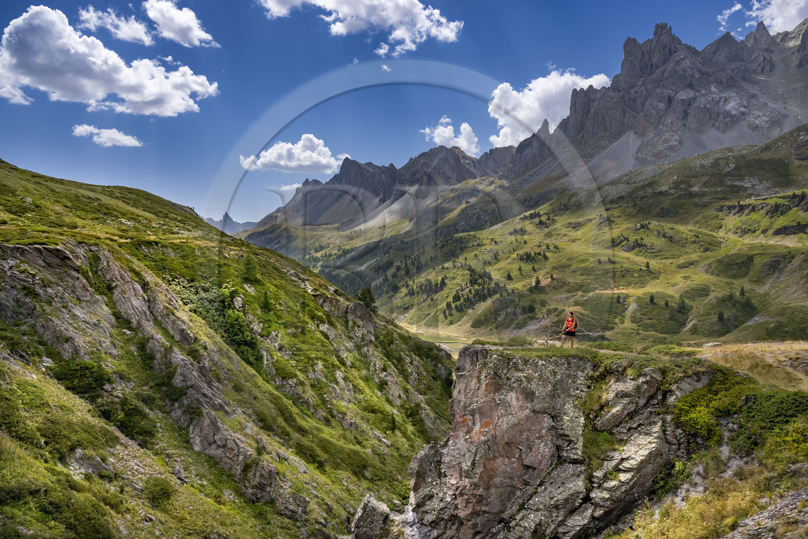 France, Hautes Alpes, Briancon region, Nevache, the upper Clarée valley, hiker with her dogs in the upper Clarée valley, the Cerces massif in the background