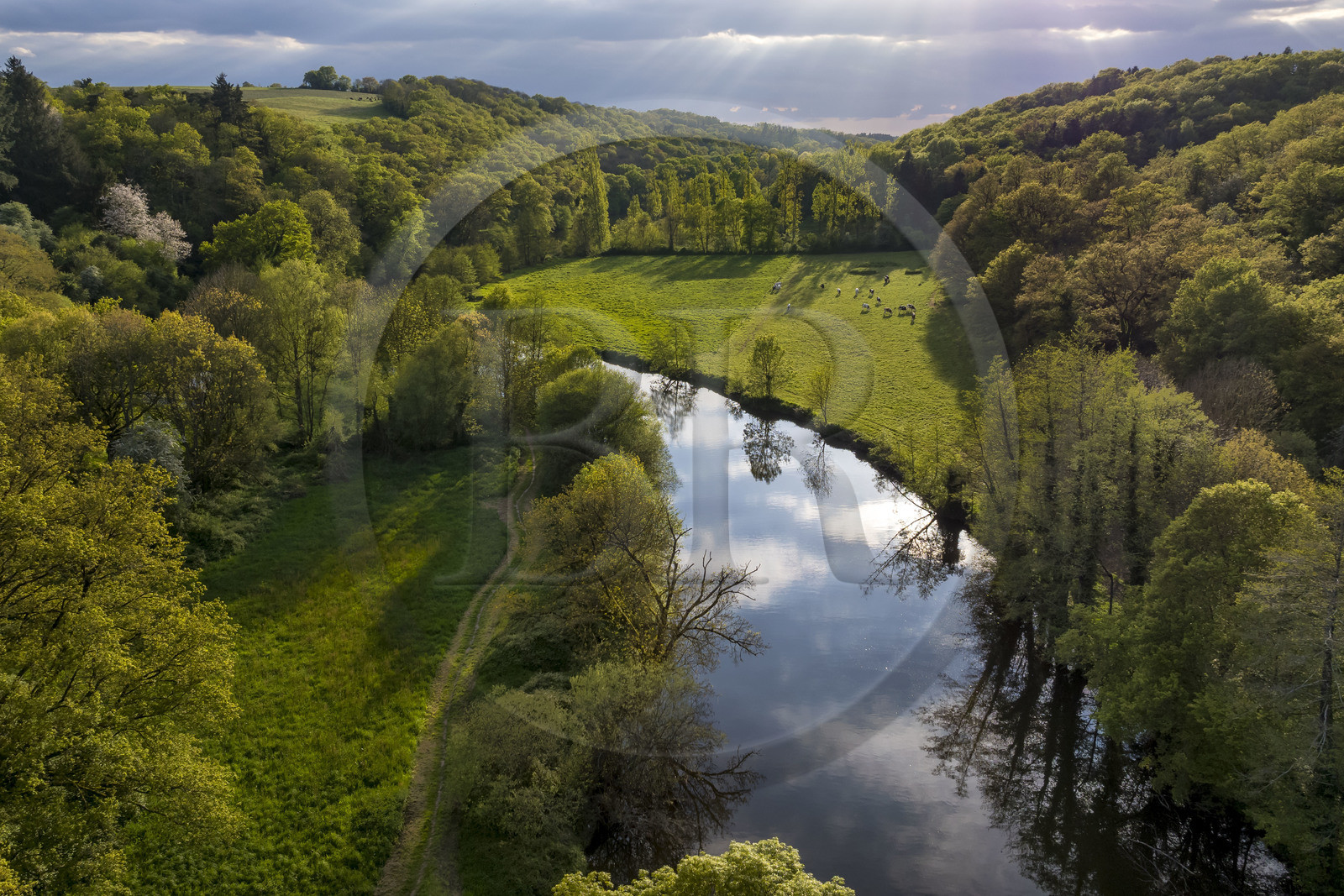 France, Vendee, Saint-Aubin-des-Ormeaux, the Sevre Nantaise river valley (aerial view)