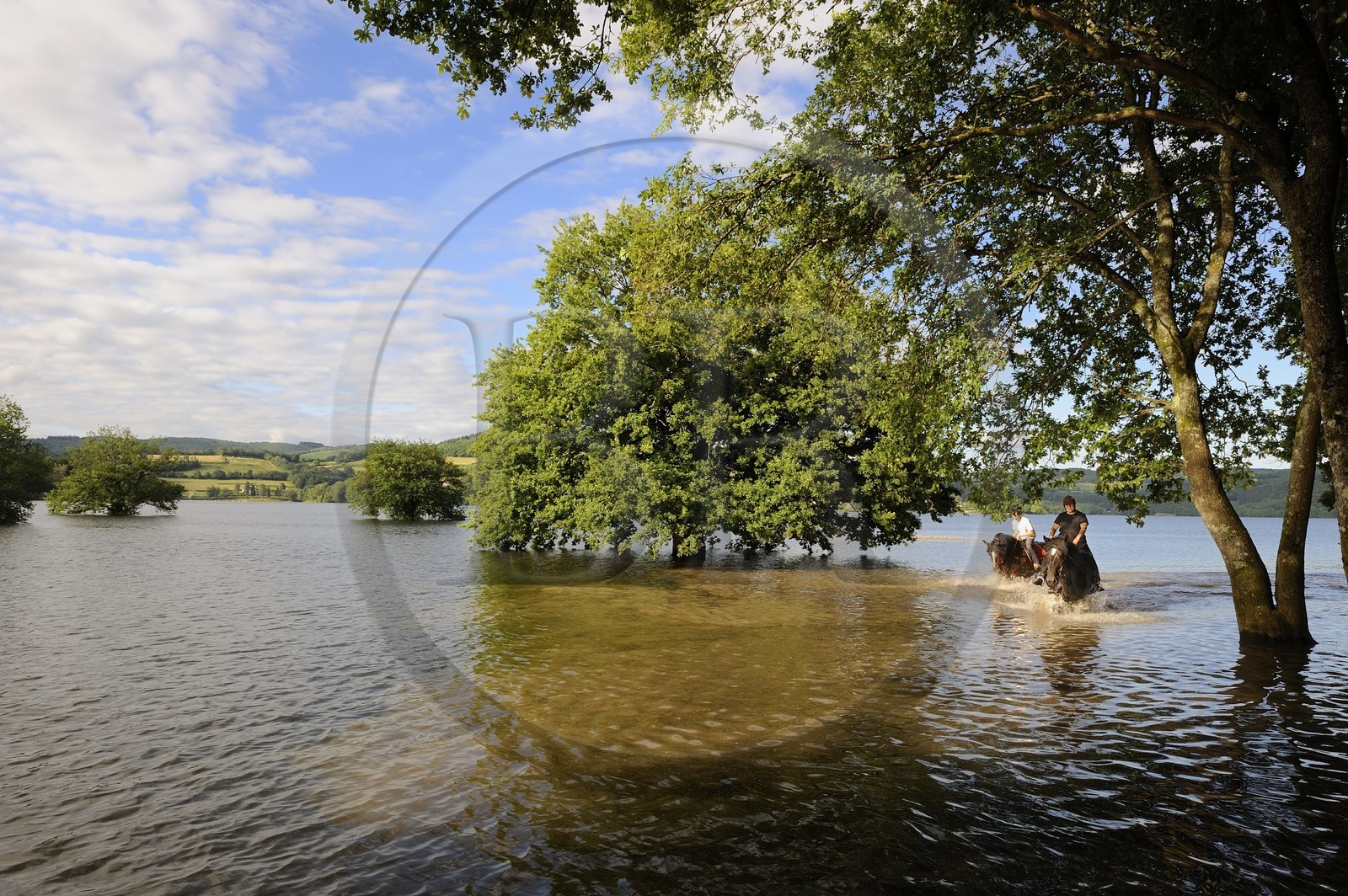 France, Nièvre (58), lac de Pannecière, découverte équestre du lac