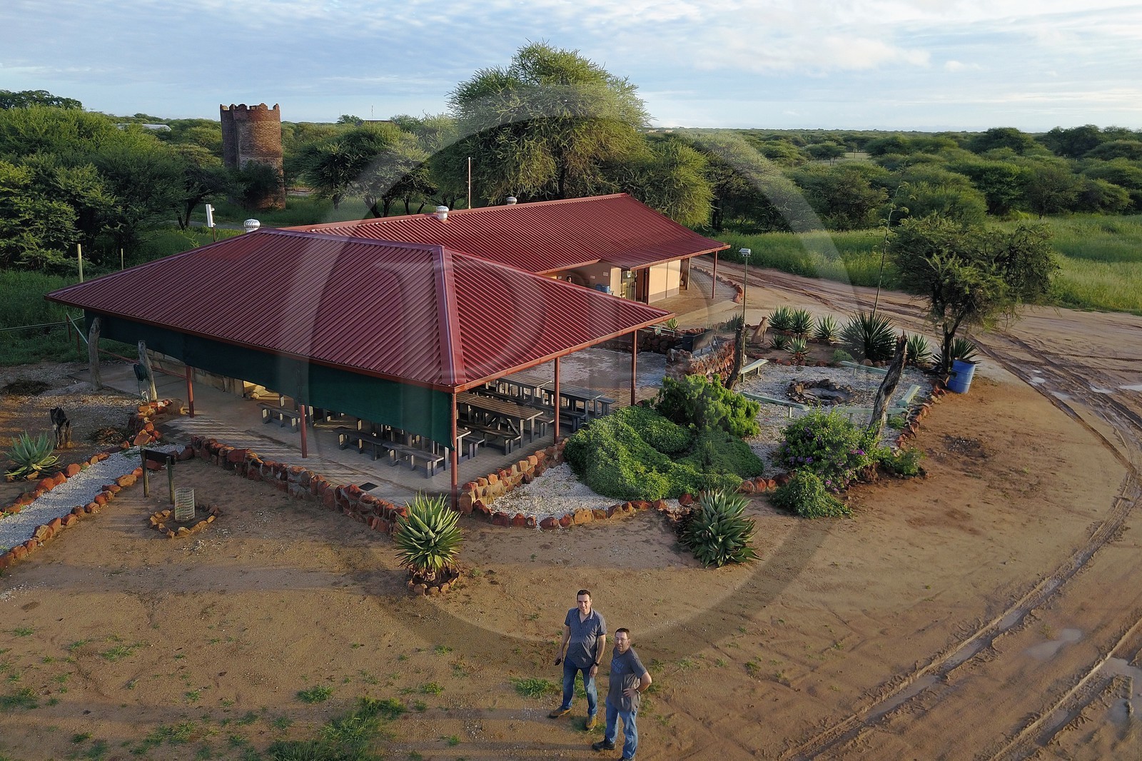 Namibie, Otjiwarongo, Cheetah Conservation Fund, centre de recherche et d'