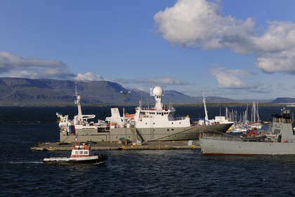 Islande, Reykjavik, le port