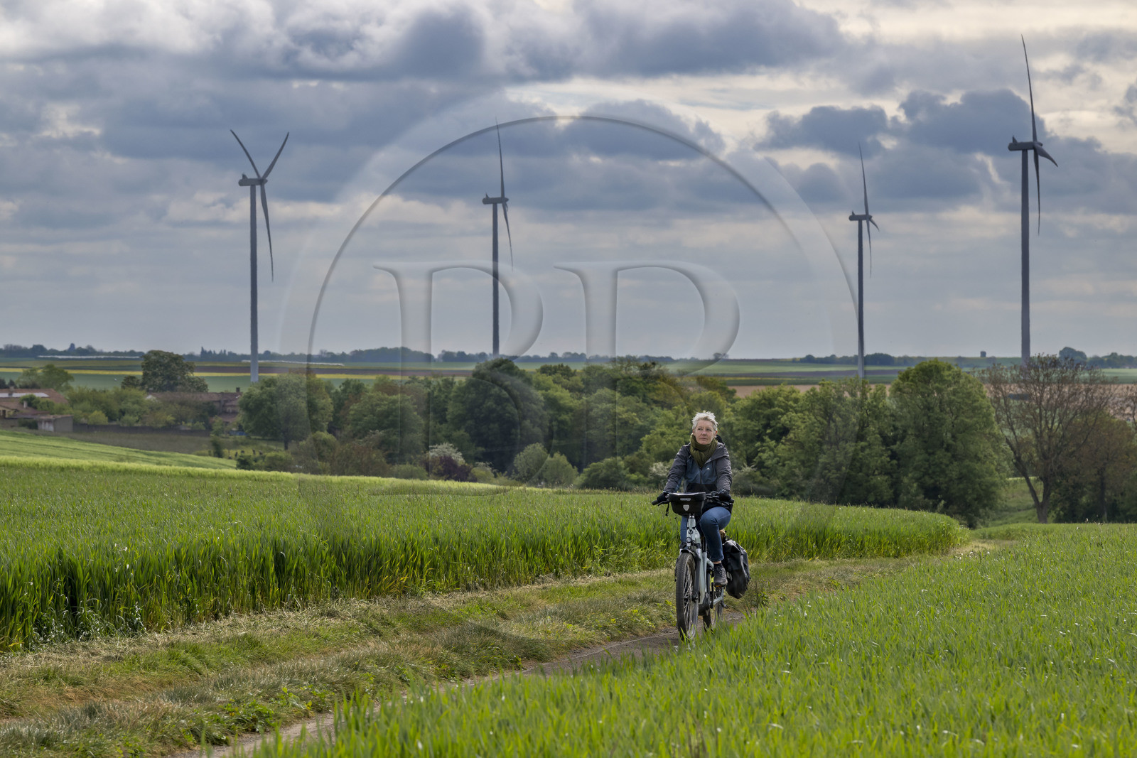 France, Vendée (85), Xanton–Chassenon, cycliste sur la piste de la véloroute Vendée Vélo Tour