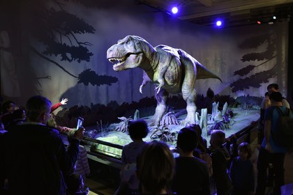 Royaume-Uni, Londres, Kensington, musée d’histoire naturelle (Natural History Museum), Tyrannosaurus Rex (T-Rex) animé