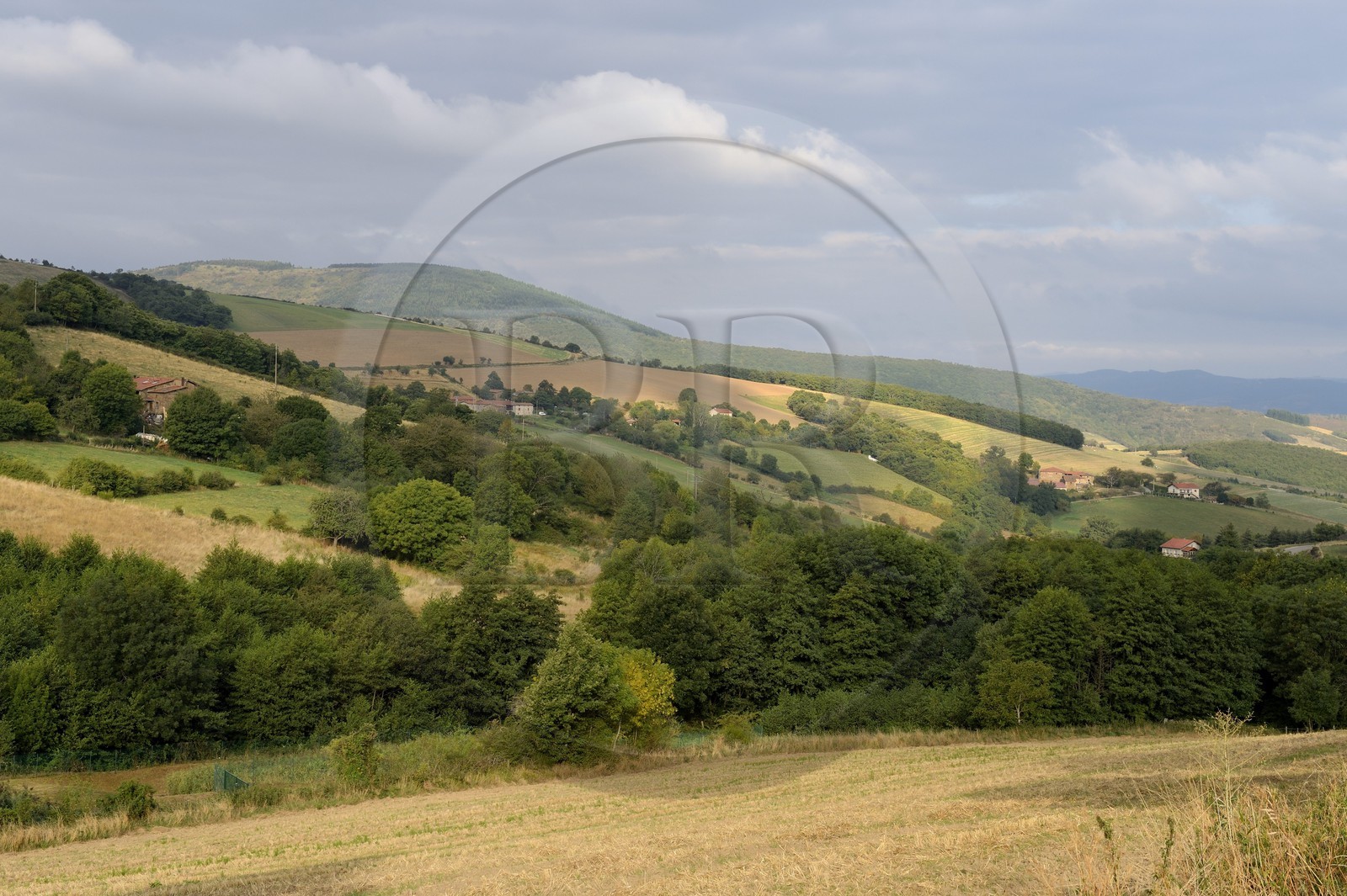 France, Loire, Parc Naturel Regional du Pilat (Natural Regional Park of Pilat),