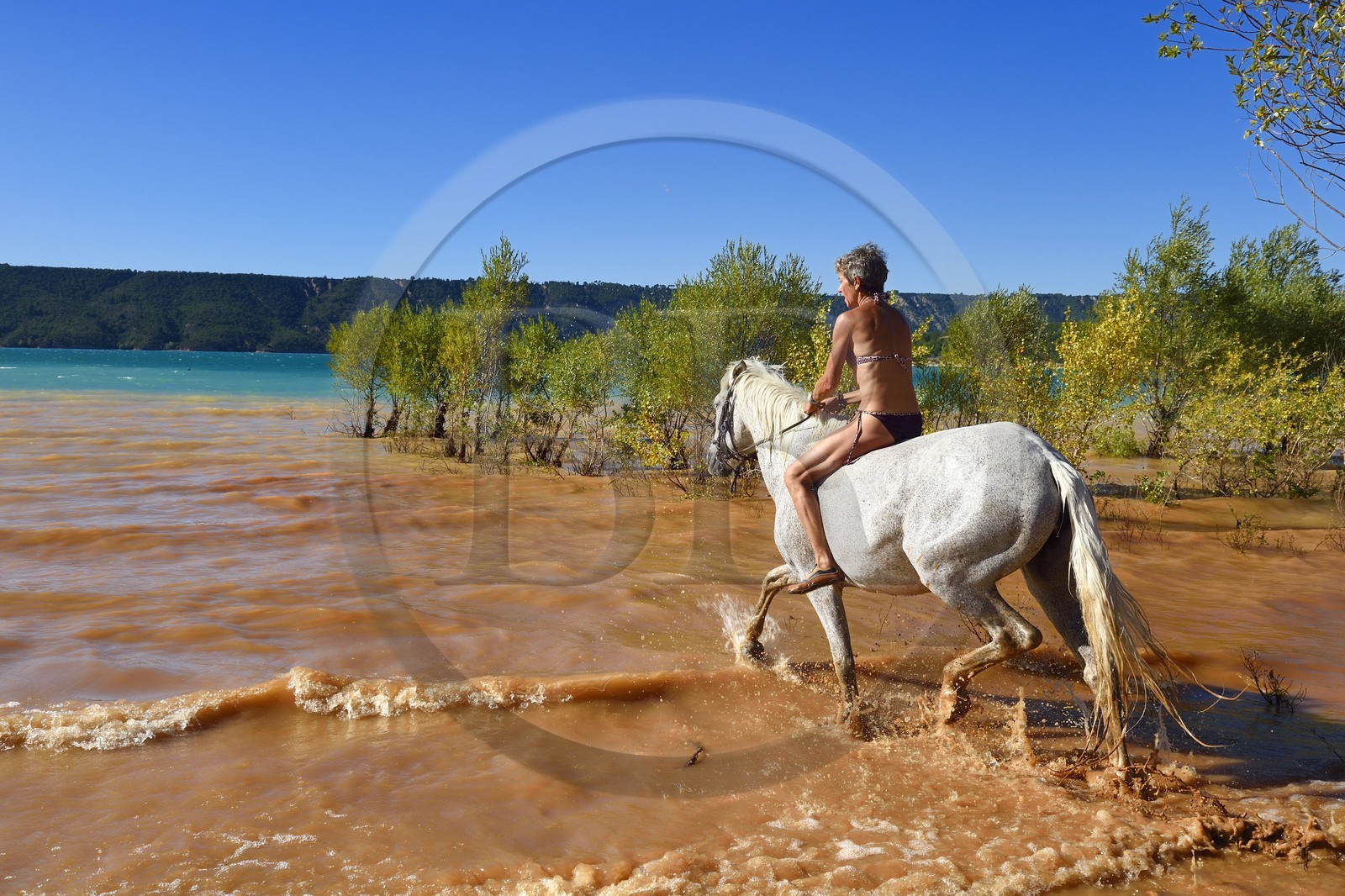 France, Var, Parc Naturel Regional du Verdon, Lake St Croix, horseback riding with Verdon Equitation