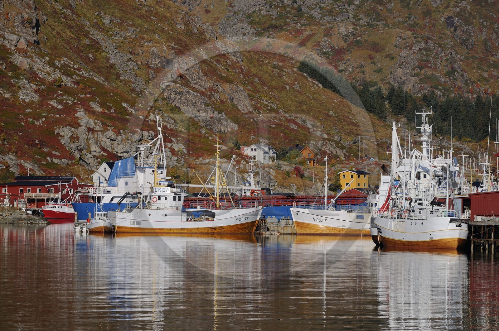 Norvège, Nordland, Iles Lofoten, port de pêche de Ballstad dans l'île de Vestvagoy