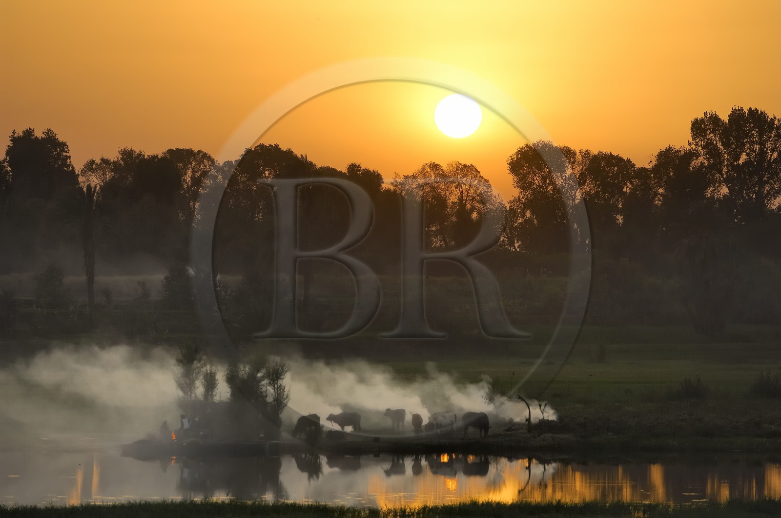 Egypte, Haute Egypte, vallée du Nil, le Nil entre Louxor et Esna