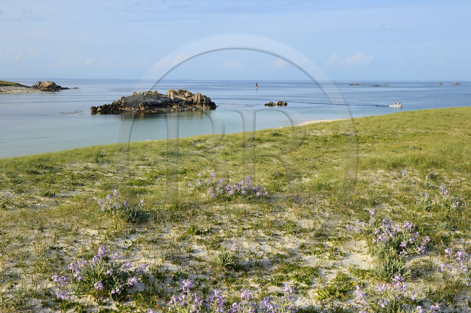 France, Finistère (29), La Foret Fouesnant, archipel des Glénan, Ile Saint-Nicolas, côte ouest