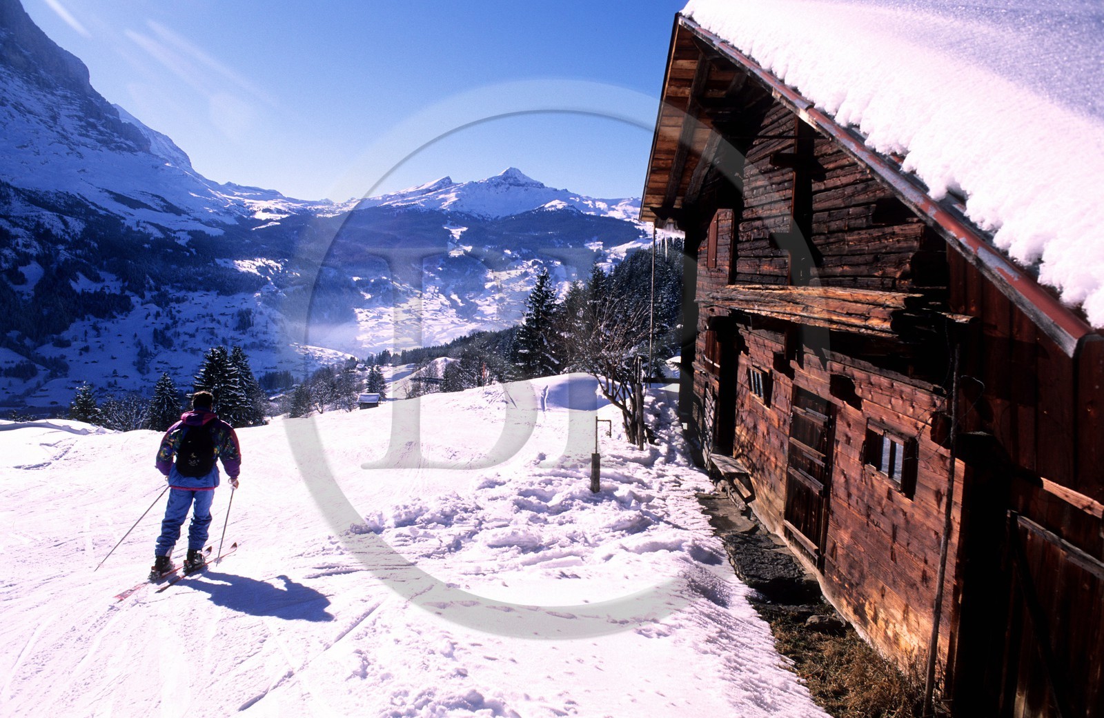 Suisse, région de Bern (Oberland Bernois), Grindelwald, ferme d'alpage