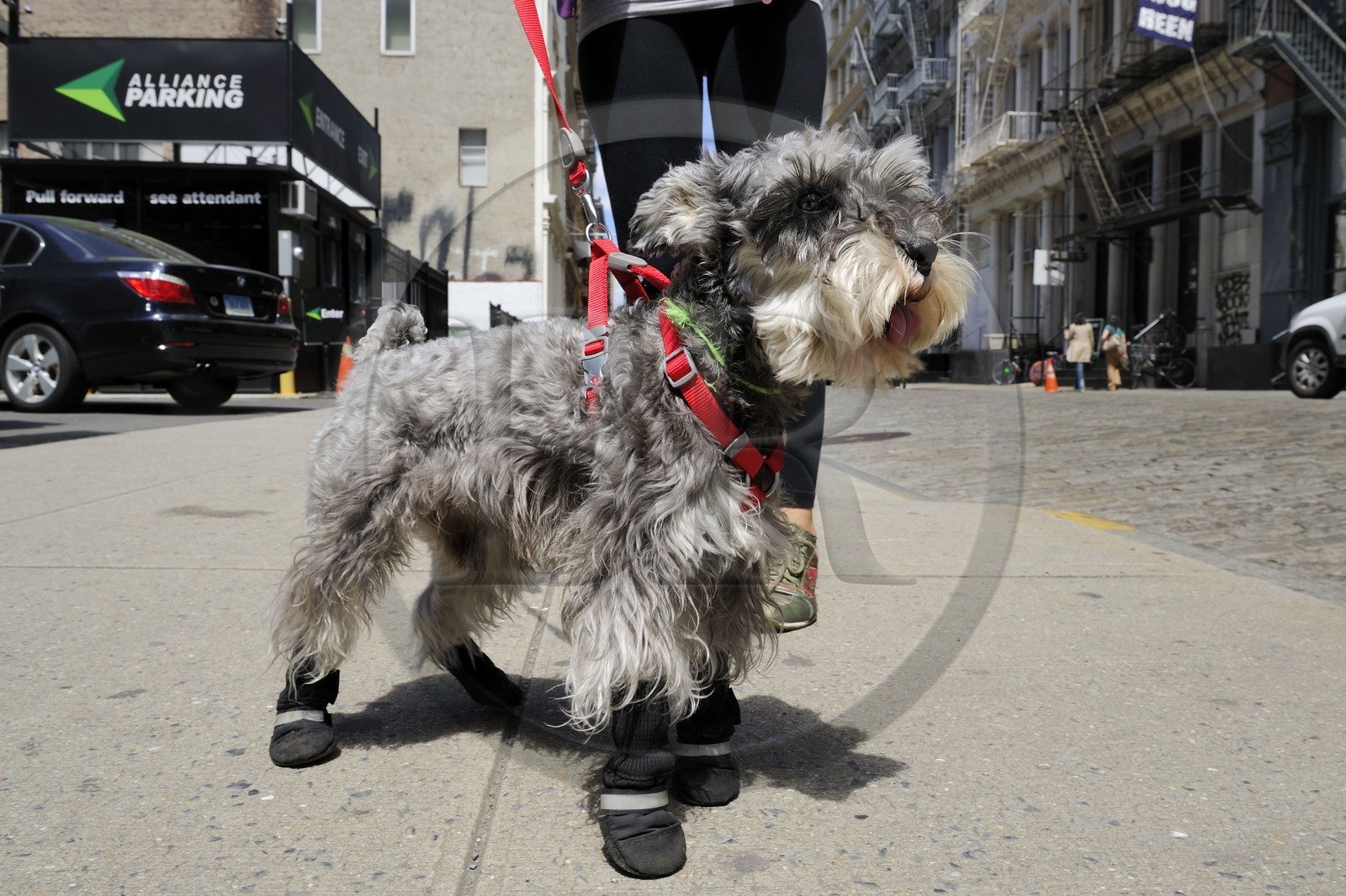 United States, New York, Manhattan,