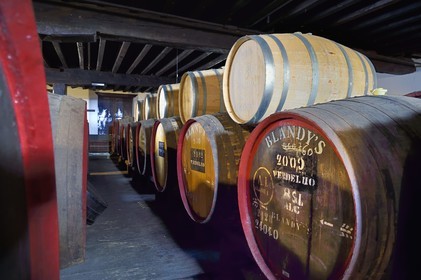 Portugal, Madeira Island, Funchal, Madeira Wine Company, Madeira barrels (natural sweet wine) stored in the cellar of the Blandy's brand (founded in 1811)