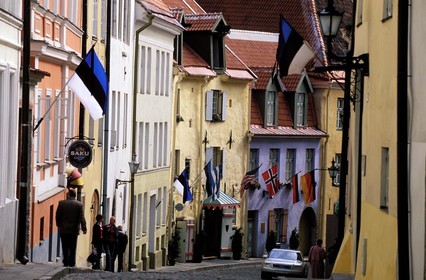 Estonia (Baltic States), Harju Region, Tallinn, European Capital of Culture 2011, the paved street of Olevimagi in the old town