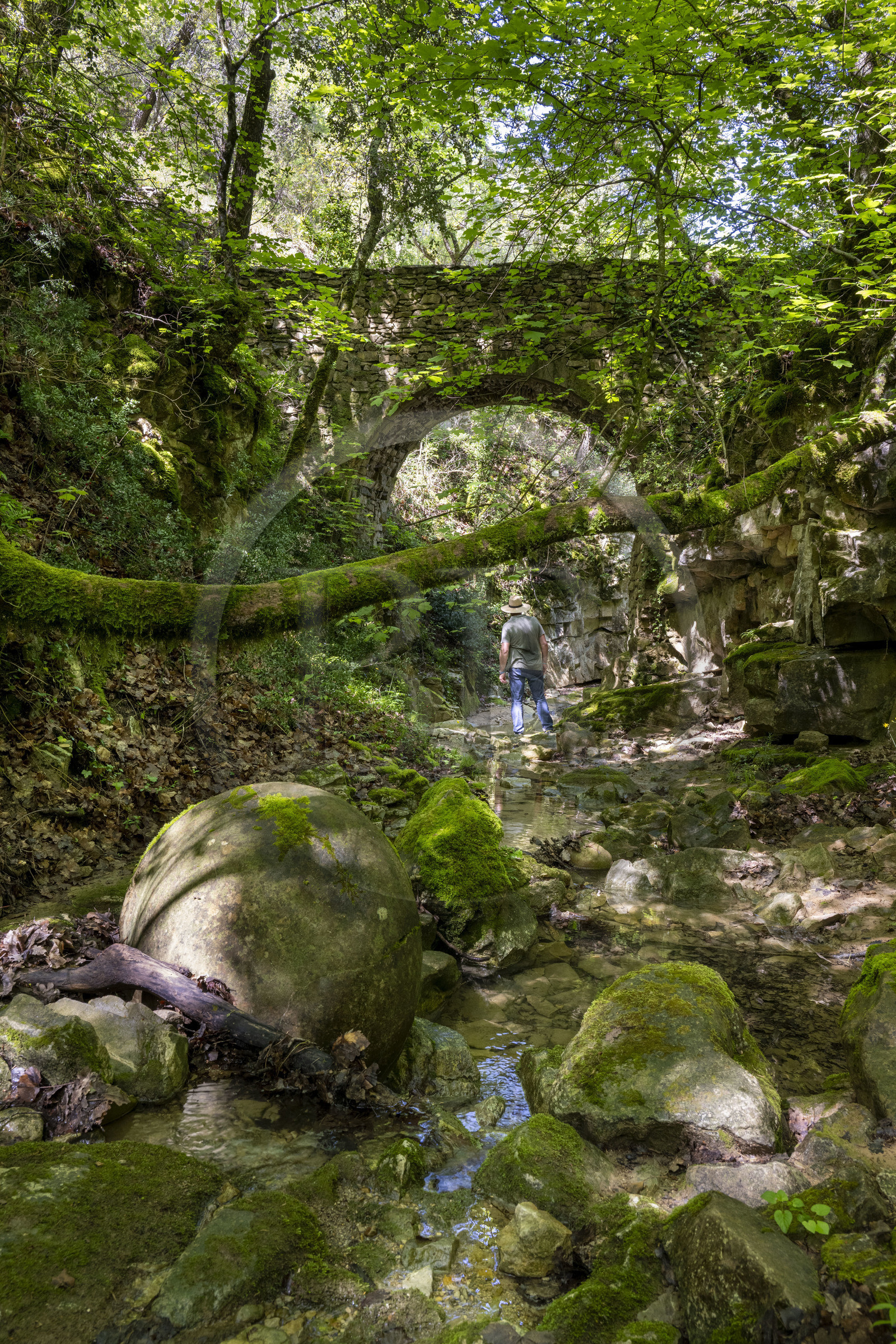France, Vaucluse, Dentelles de Montmirail mountains, Sablet, the Trignon river overlooked by the old bridge of the ruined 7th century abbey of nuns in the Prébayon valley