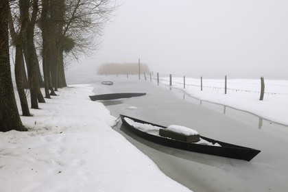France, Manche (50), Cotentin, marais de la Douve, Le Port à Blosville Carquebut