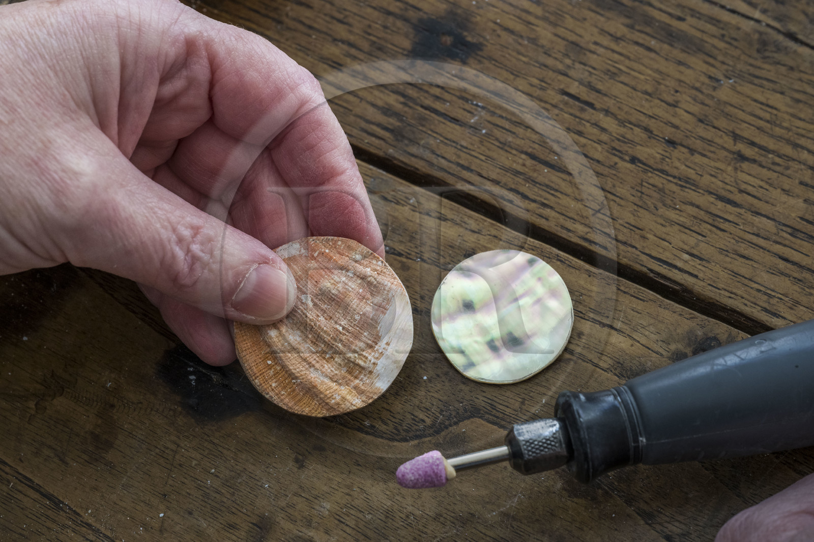 France, Côtes-d'Armor, Tréguier, one of the Le Poupon sisters who are artisans of Art nacrier, works the mother-of-pearl of abalone shell in the Ys Paris creation workshop