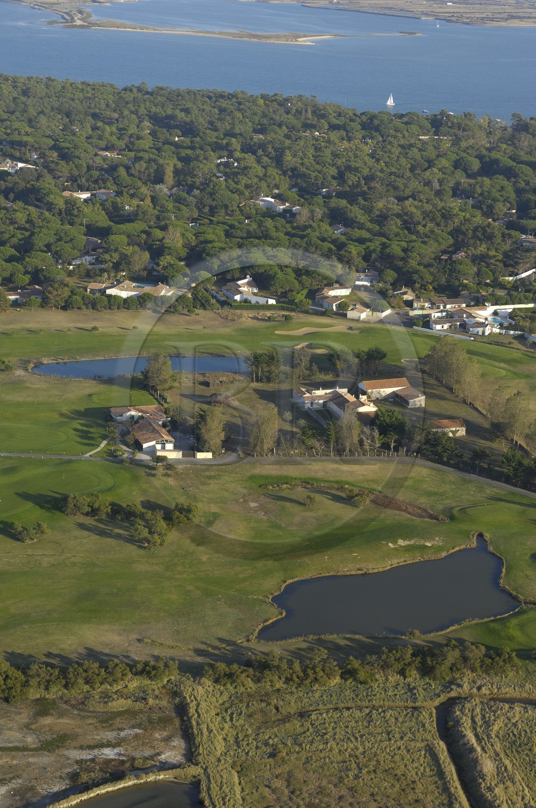 France, Charente-Maritime (17), ile de Ré, les Portes-en-Ré, golf et Bois de Trousse-Chemise (vue aérienne)