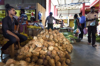 Sri Lanka, Eastern Province, Trincomalee, the covered market, Coconut seller