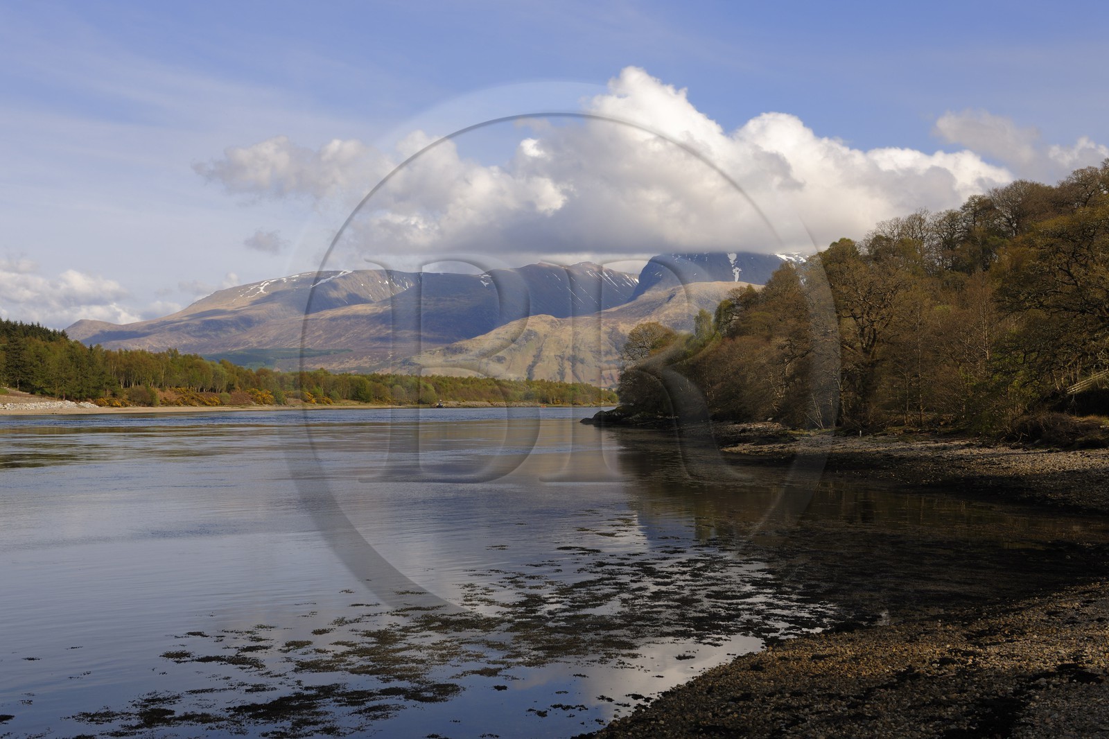 Royaume-Uni, Ecosse, région des Highlands, le Loch Eil vers Fort William et le Ben Nevis au fond