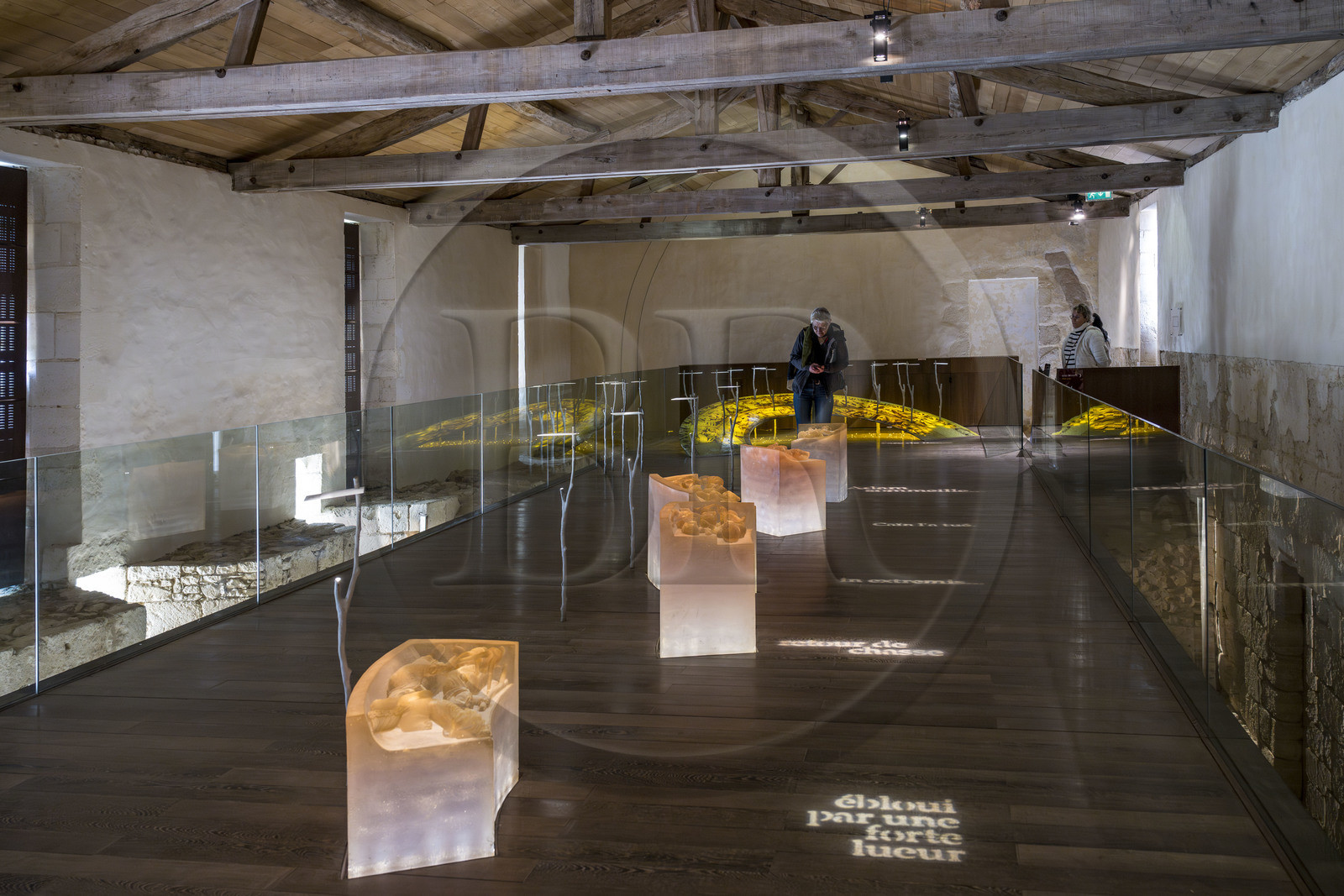 France, Vendee, Nieul-sur-l'Autise, Royal Abbey of Saint-Vincent, hall of capitals, reproduction of capitals in translucent resin