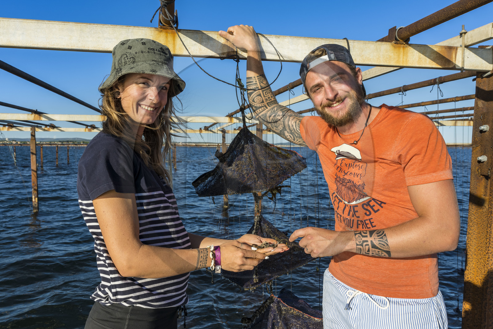 France, Hérault (34), Etang de Thau, Mèze, les producteurs de coquillages Quentin et Emmeline, jeunes huitres Ostrea edulis et naissains dans les paniers japonais