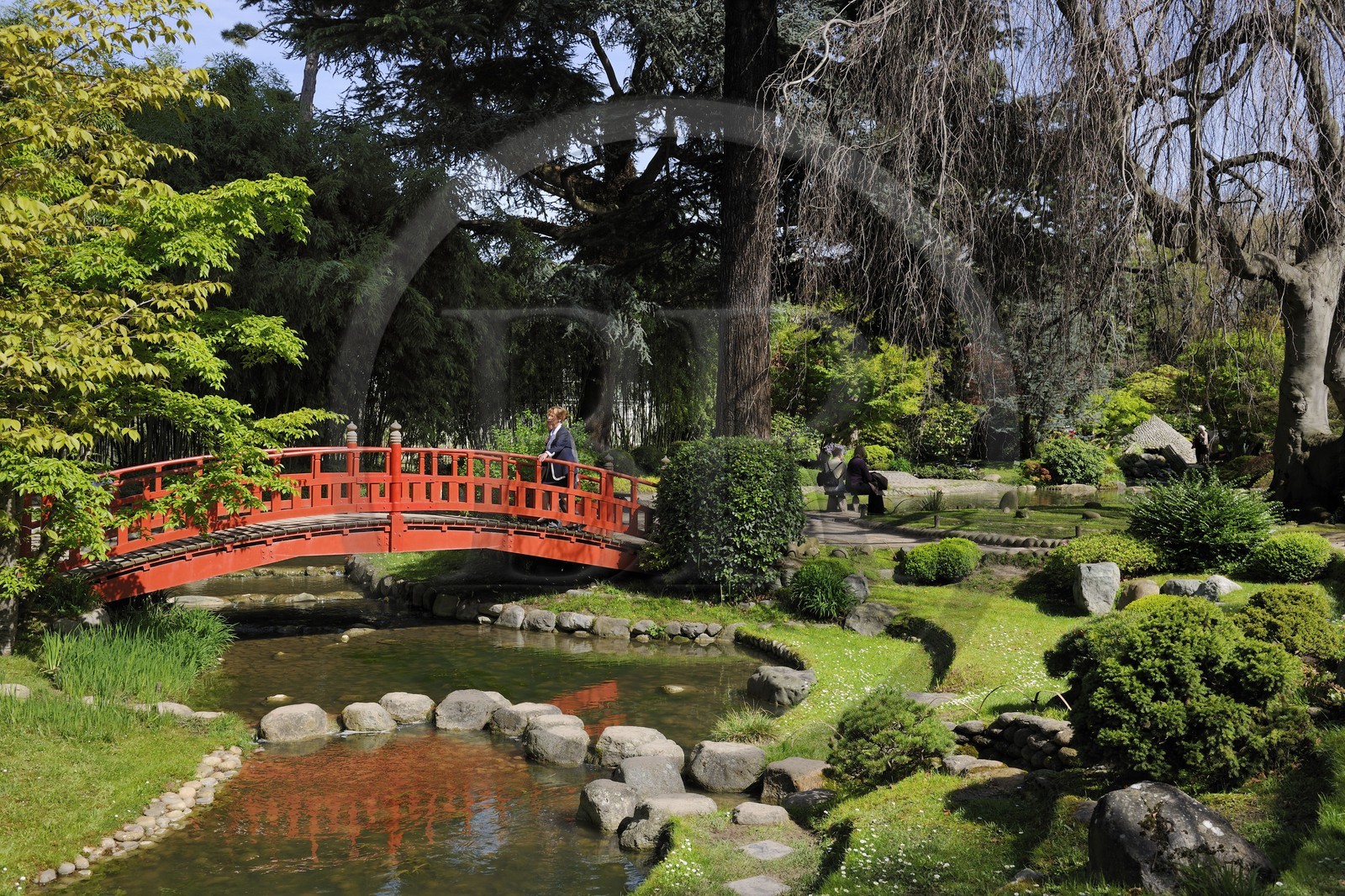 France, Hauts-de-Seine (92), Boulogne-Billancourt, le jardin japonais du musée départemental Albert-Kahn