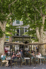 France, Vaucluse (84), L'Isle-sur-la-Sorgue, vieille ville, place de la Liberté, terrasse sous les platanes du Café de France