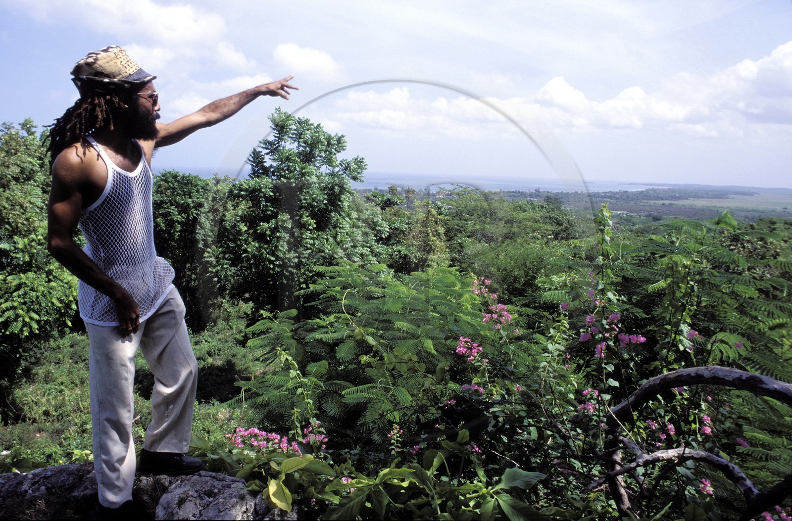 Jamaïque, paroisse de Westmoreland, rasta dominant la forêt